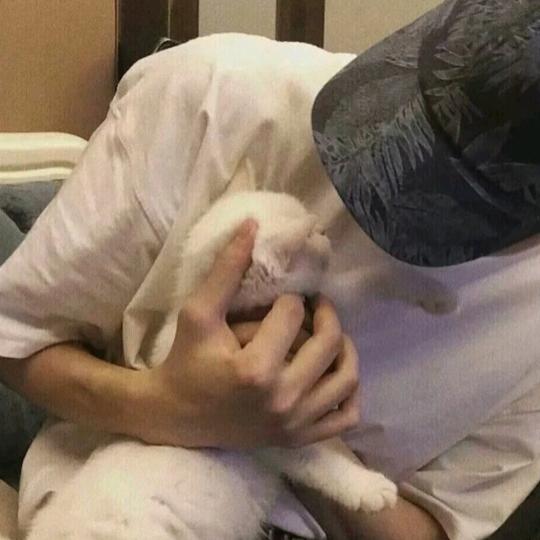 ◤城市↑空 👑 寂寞の歌◢