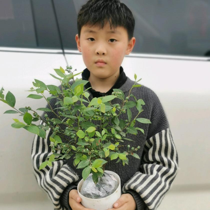 然悦喜逸缇果树苗木专卖店