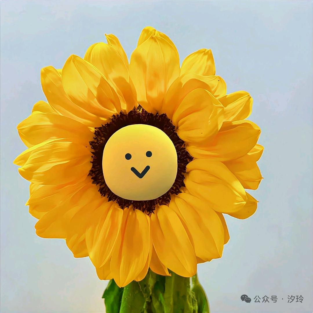 某妮子要少吃