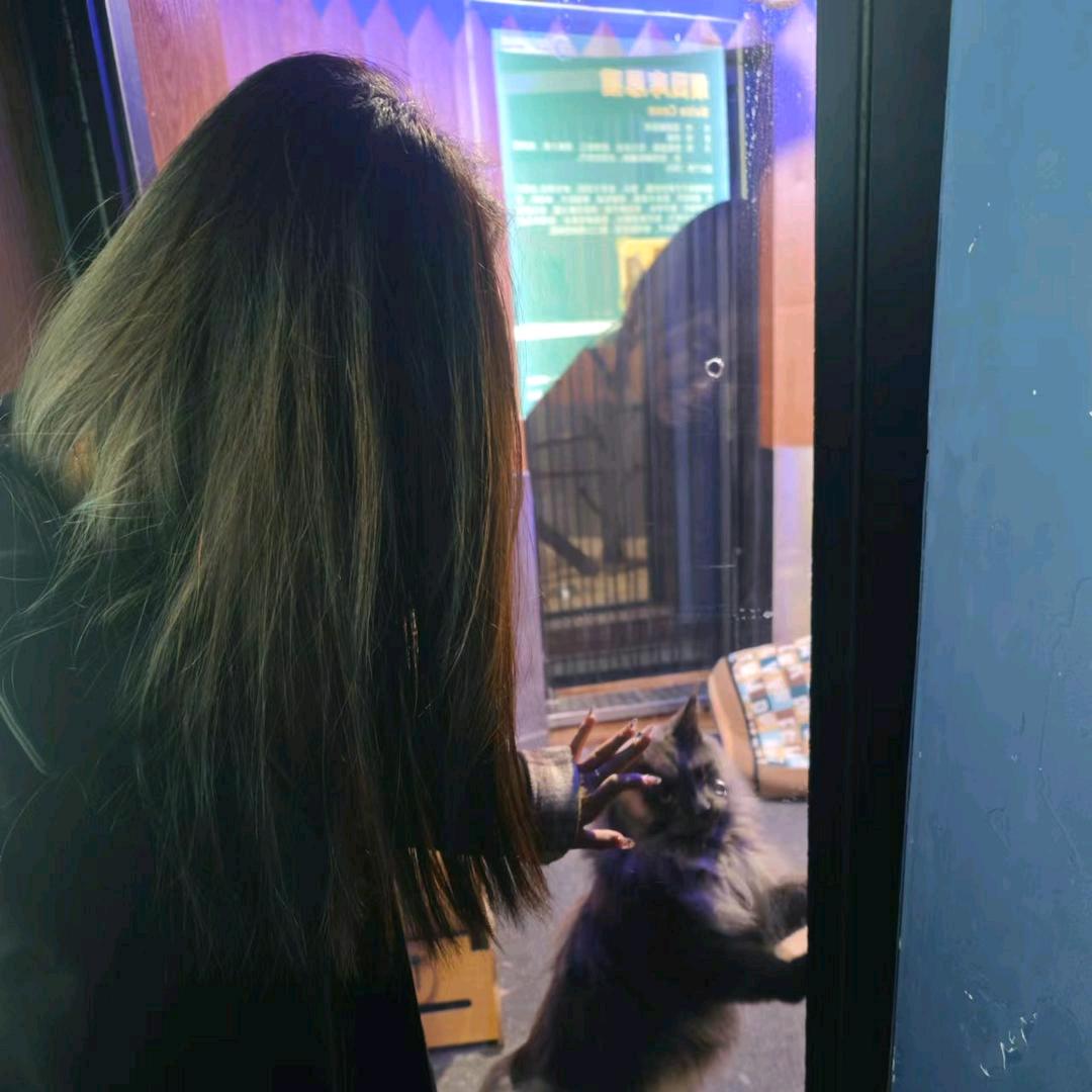 明月.