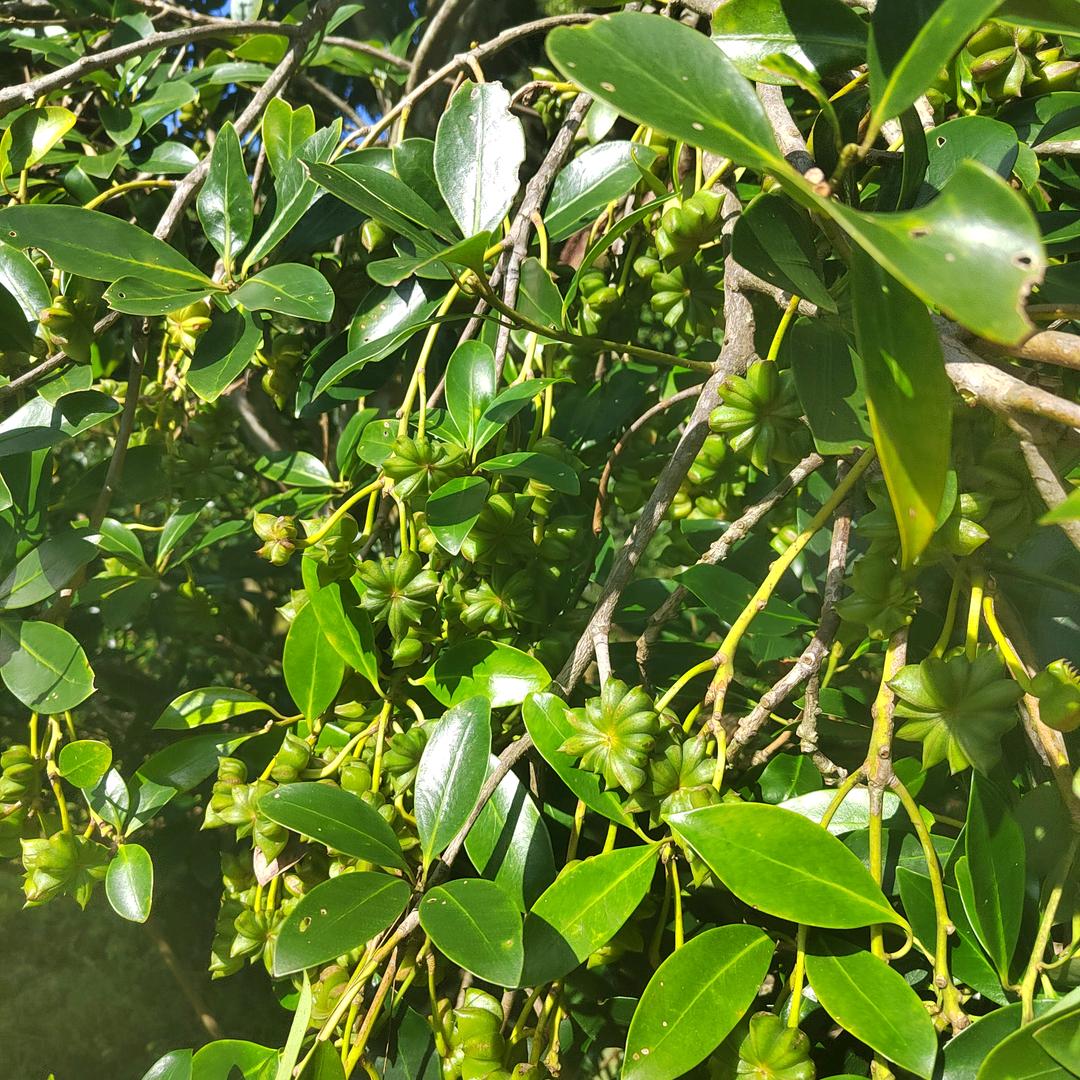 （家和万事兴）