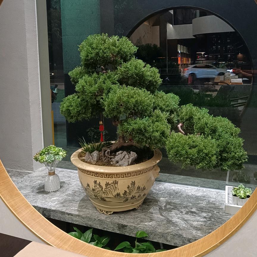 开心