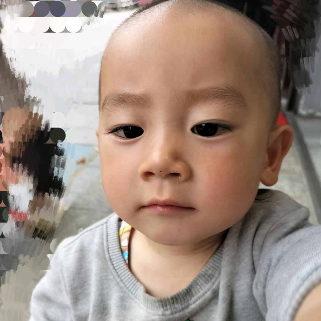 樱花树下的约定