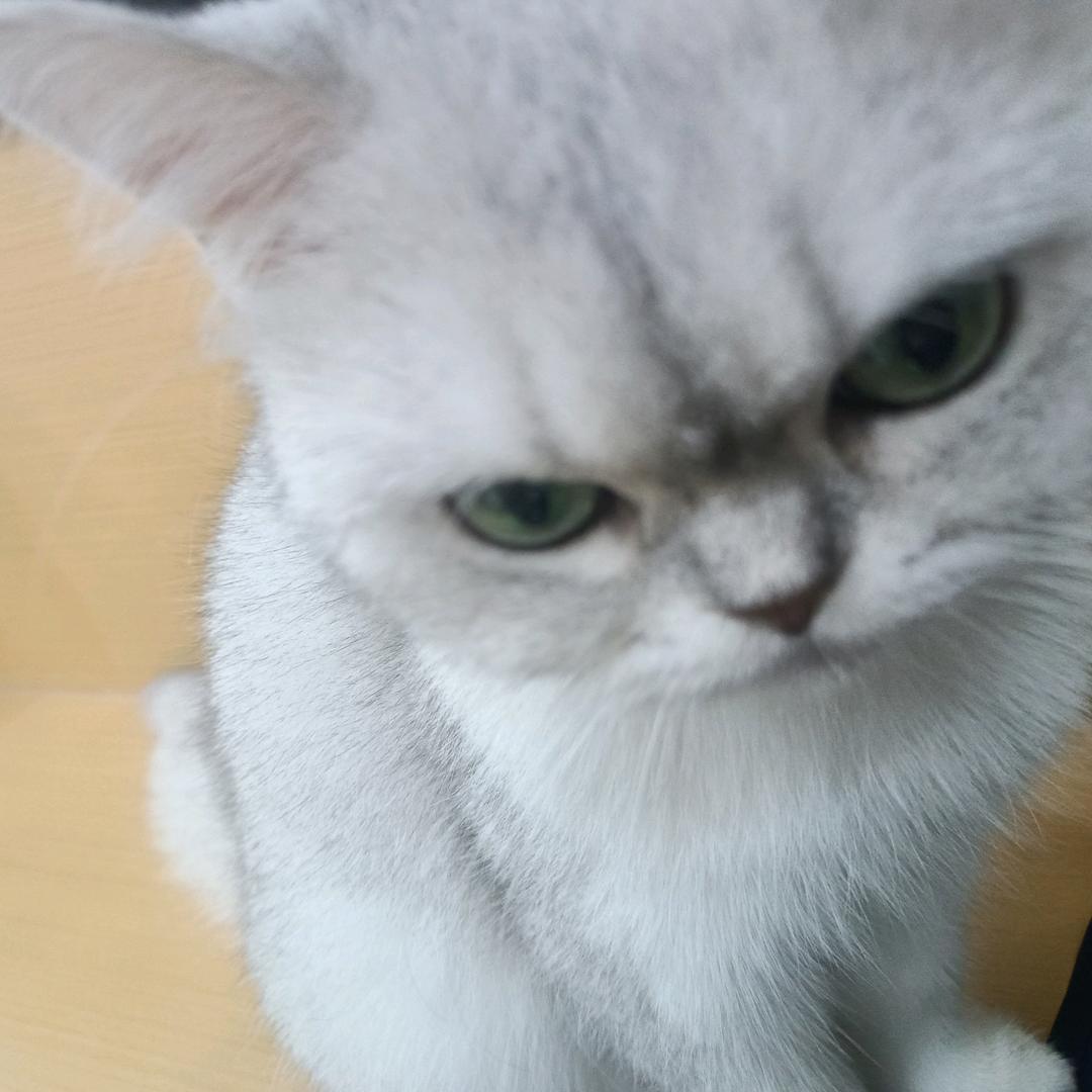 罐装