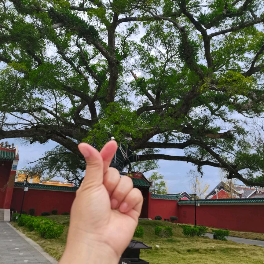 ❤️财运🌹满格❤️