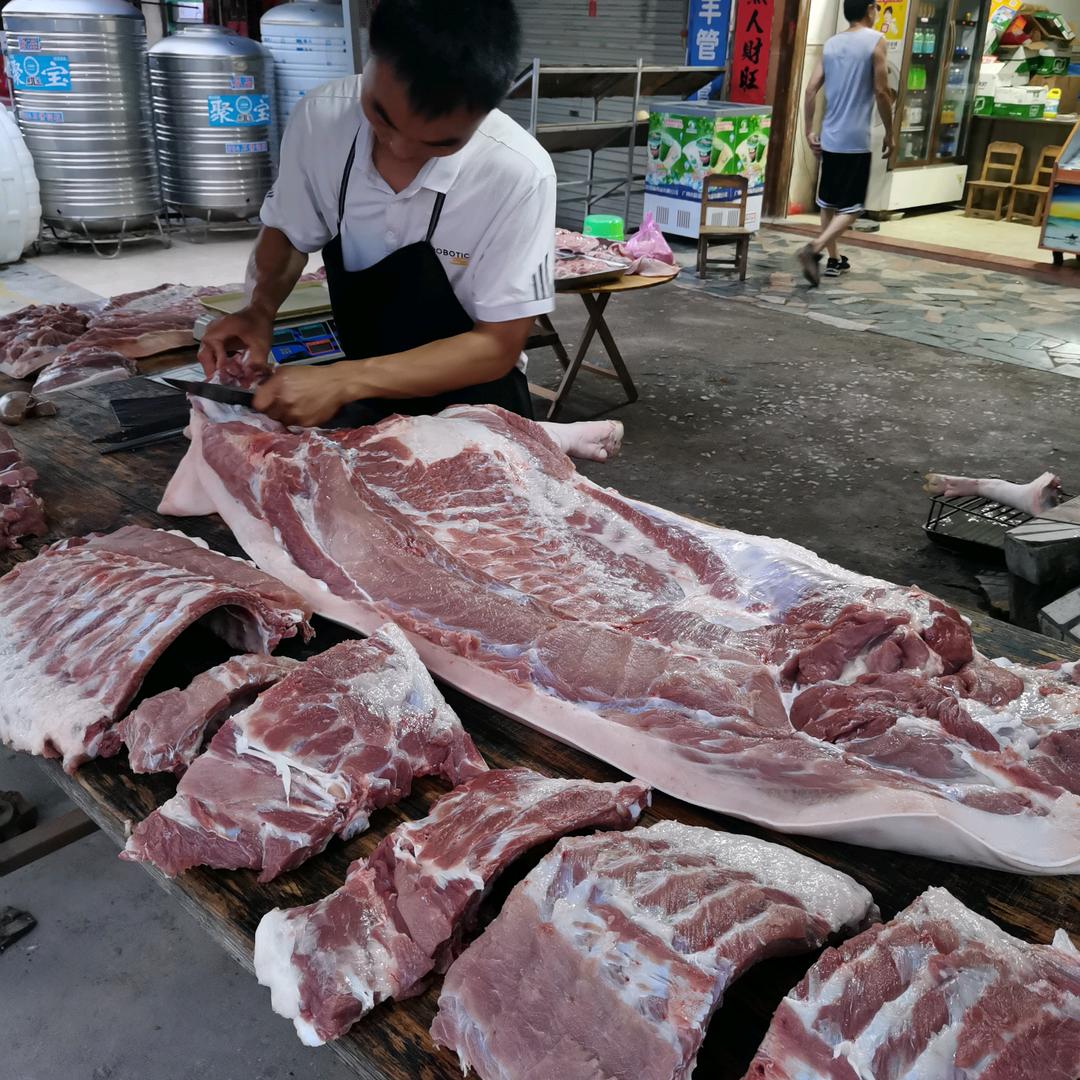 猪帝肉哥