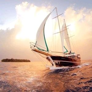 jack企业管理咨询培训