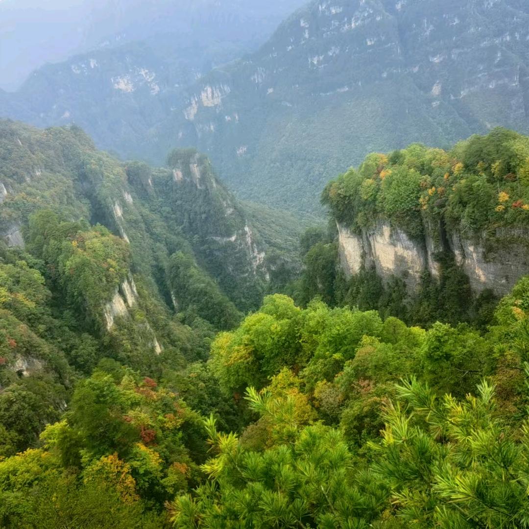 纟彖亻分天空