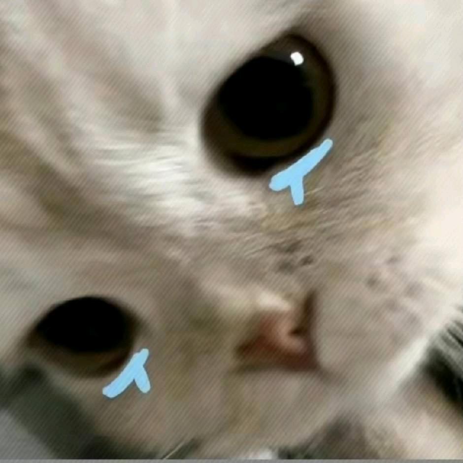 起名字好难啊～