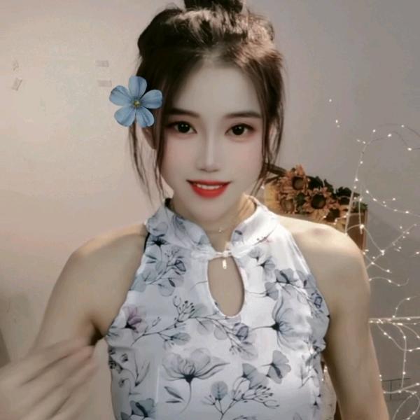 金朝朝