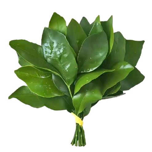 睡不着的泡泡糖