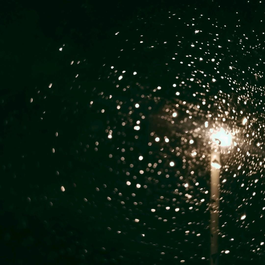 陳什麼