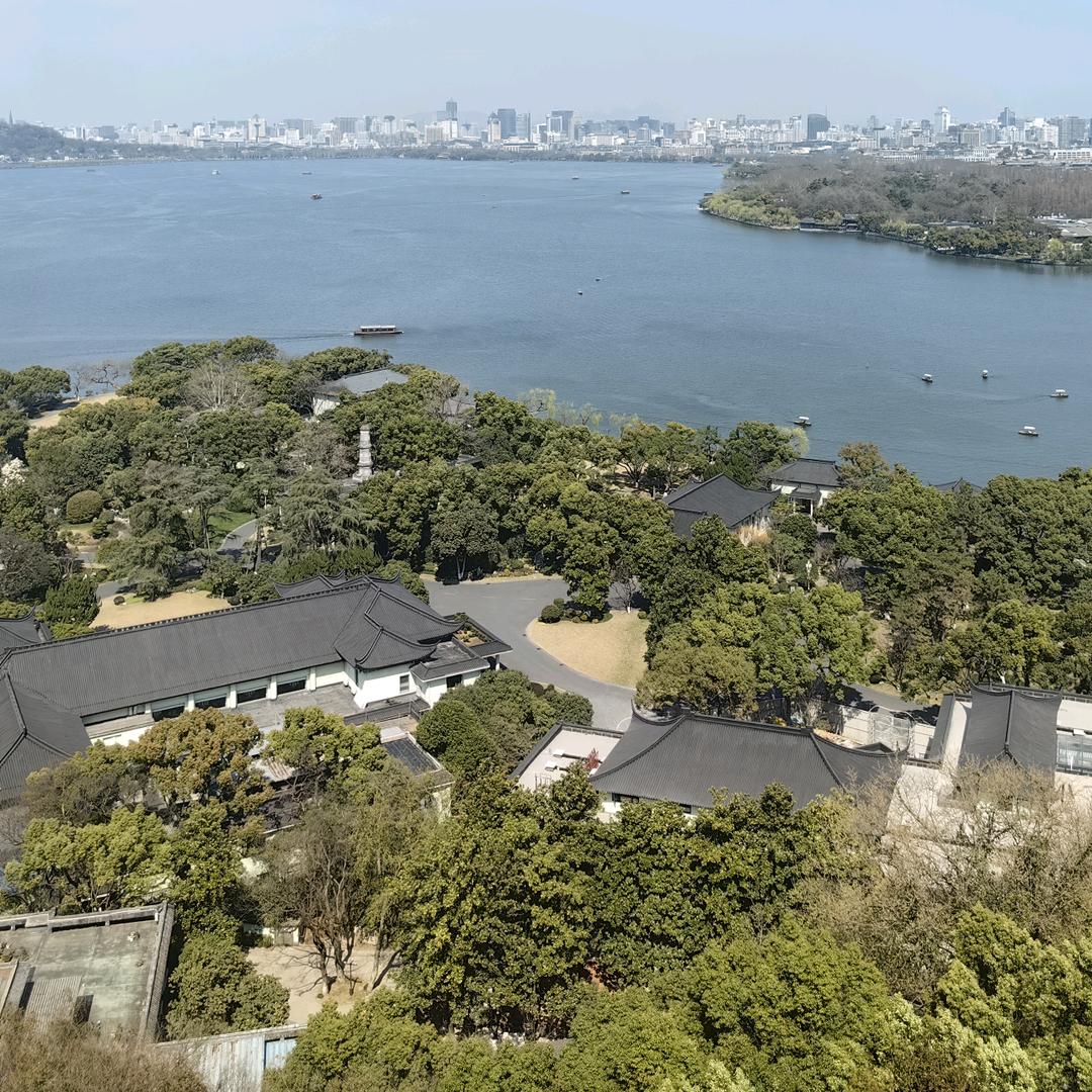 随风漂泊