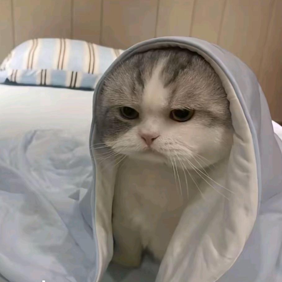 江湖