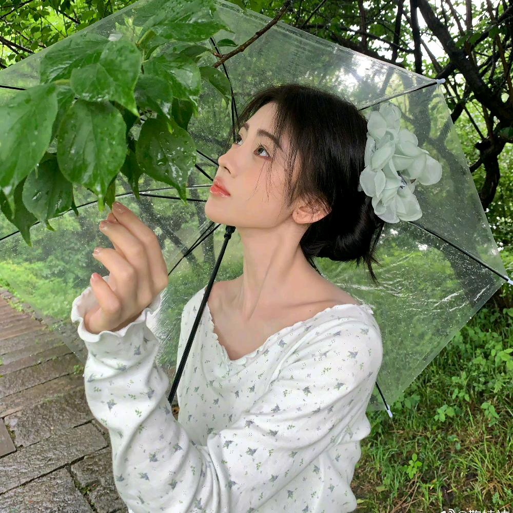 小茶（🍰）（被赞佳竹叶🔝）