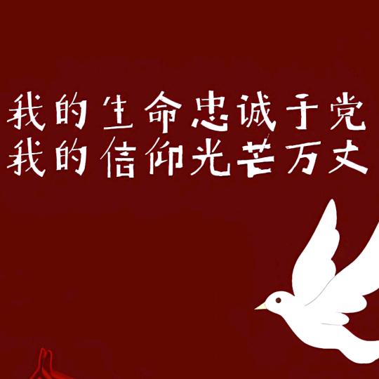 满眼星辰