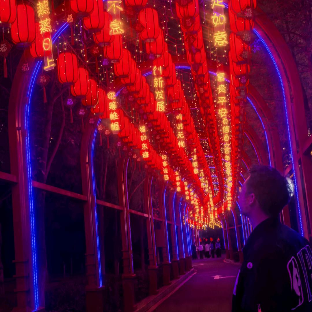 我有一个小羊巴