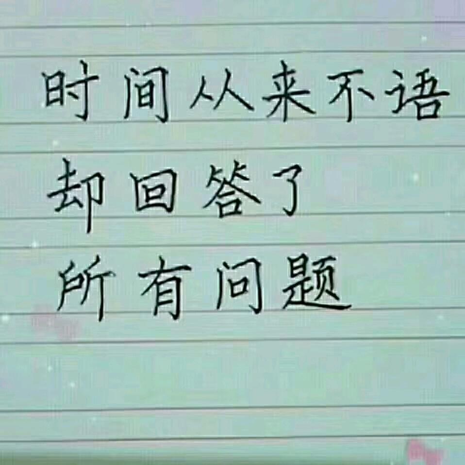 宝气九哥
