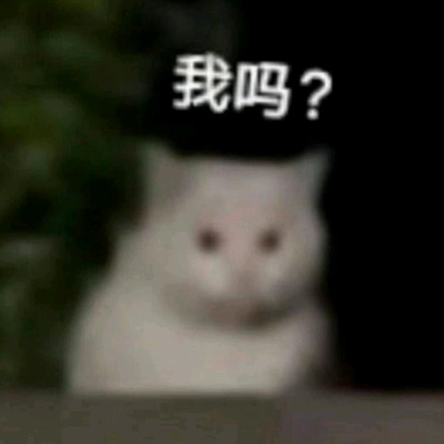 珍珠翡翠白玉汤