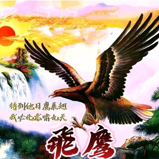 ꧁🇨🇳飛鹰🇨🇳꧂