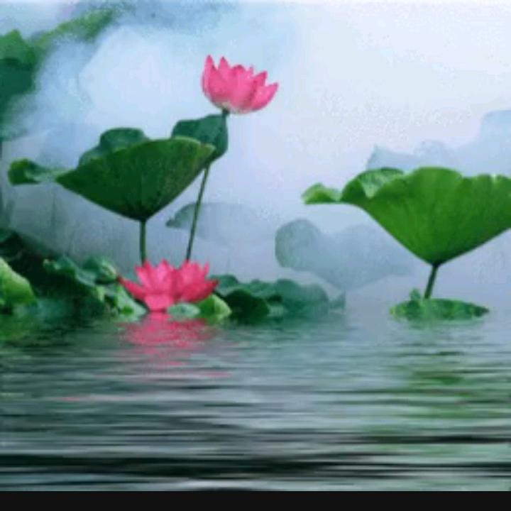 一把土