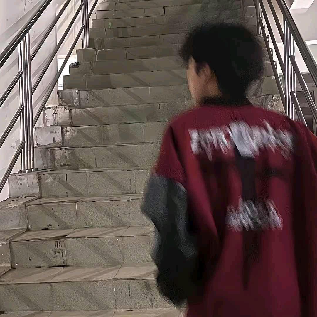 摆烂小鱼