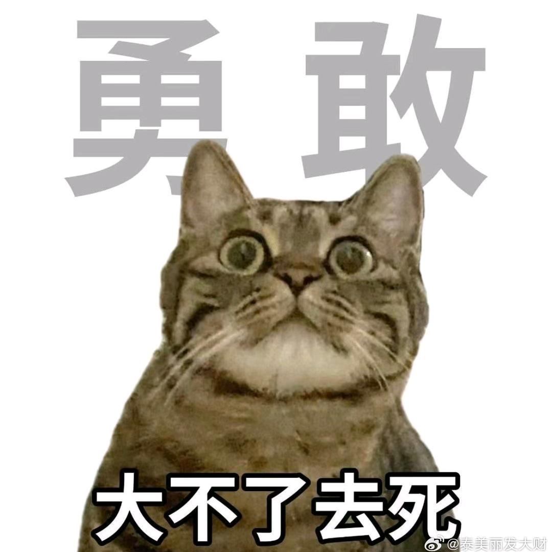 艾卡西亚暴雨。