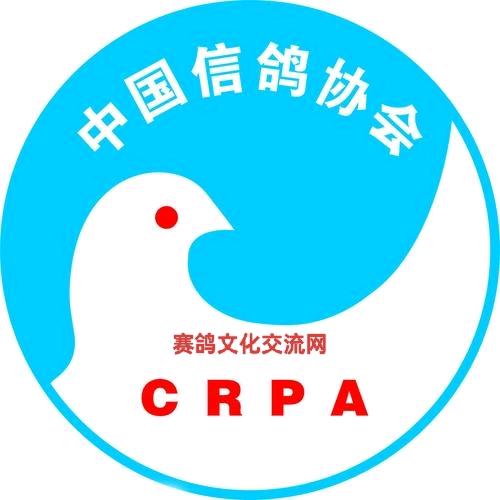 赛鸽文化交流网