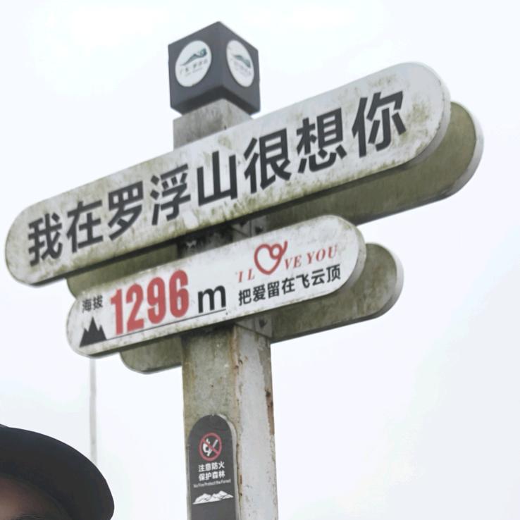 惠州菠萝歌