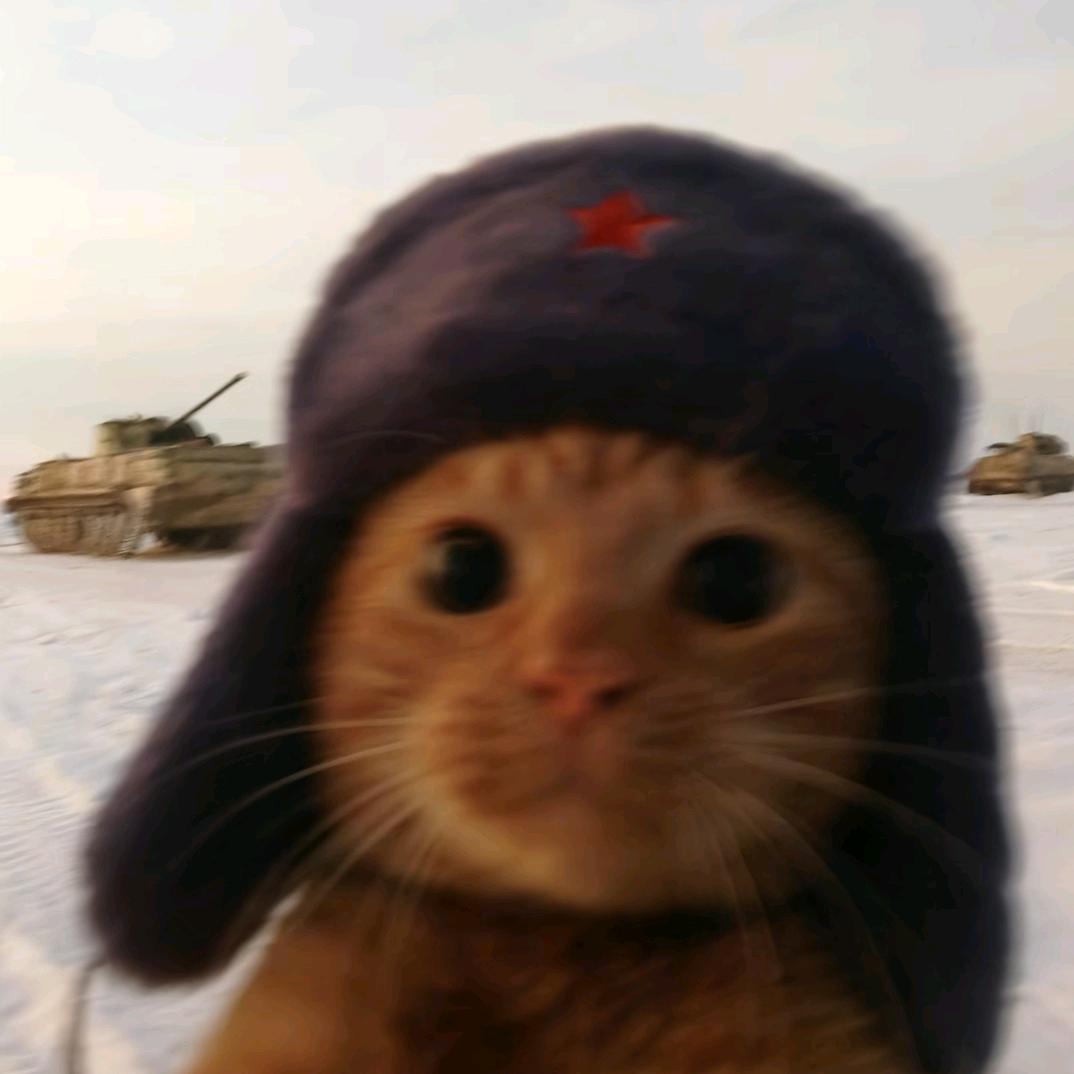 春风化雨的谛听