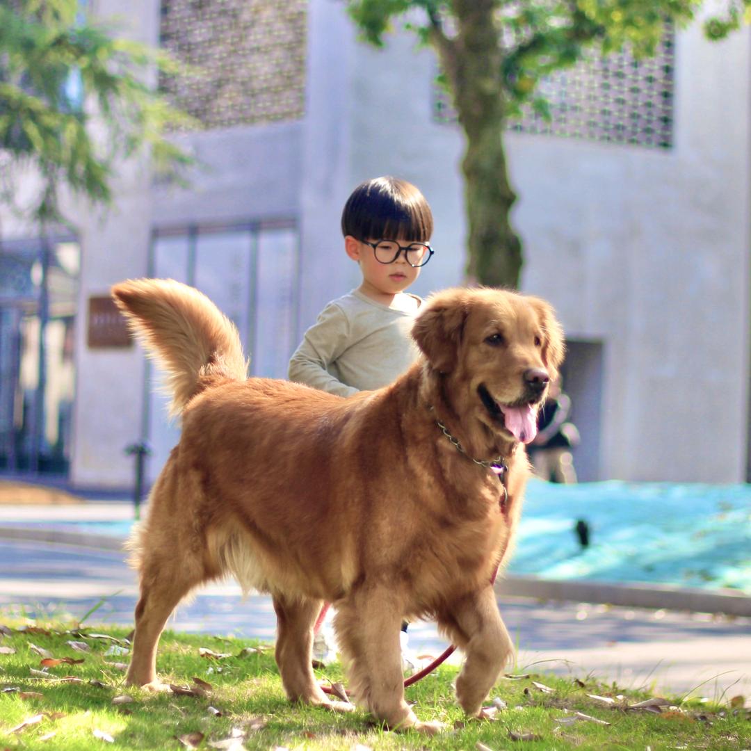 球球和闹闹