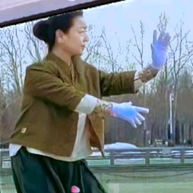 传统杨式太极拳☯️