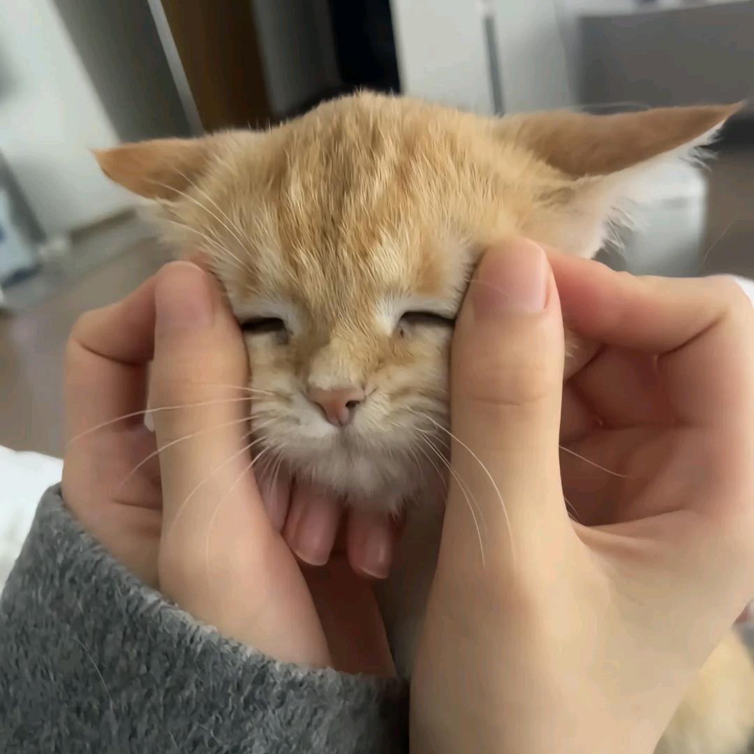云韵