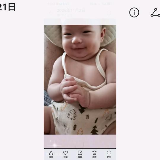 686阳红