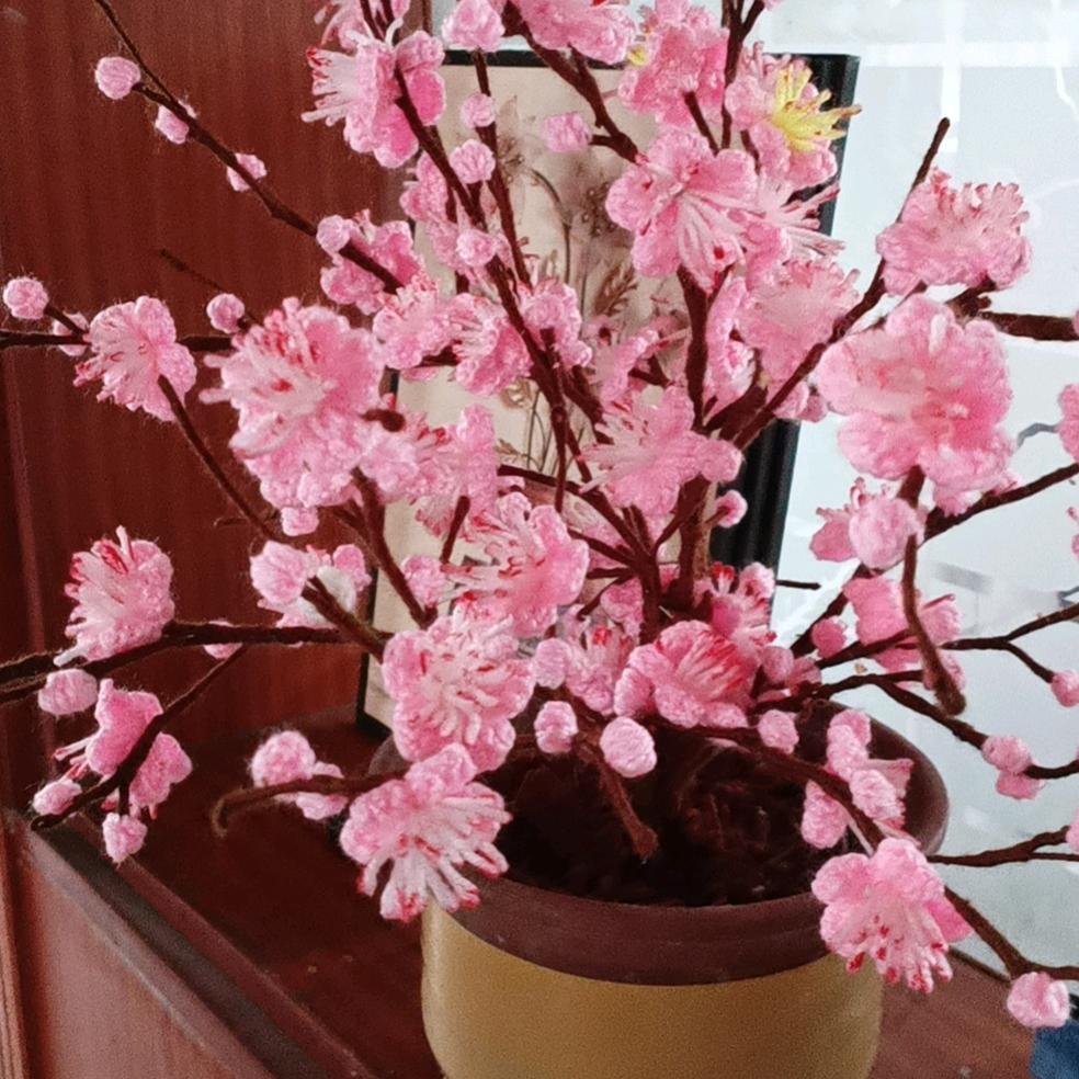 明泽