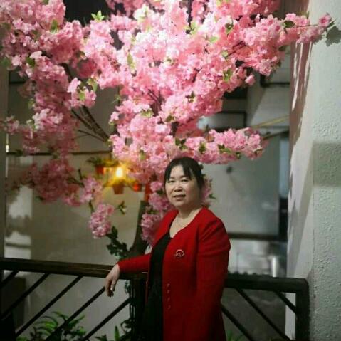 梅花🌹一朵