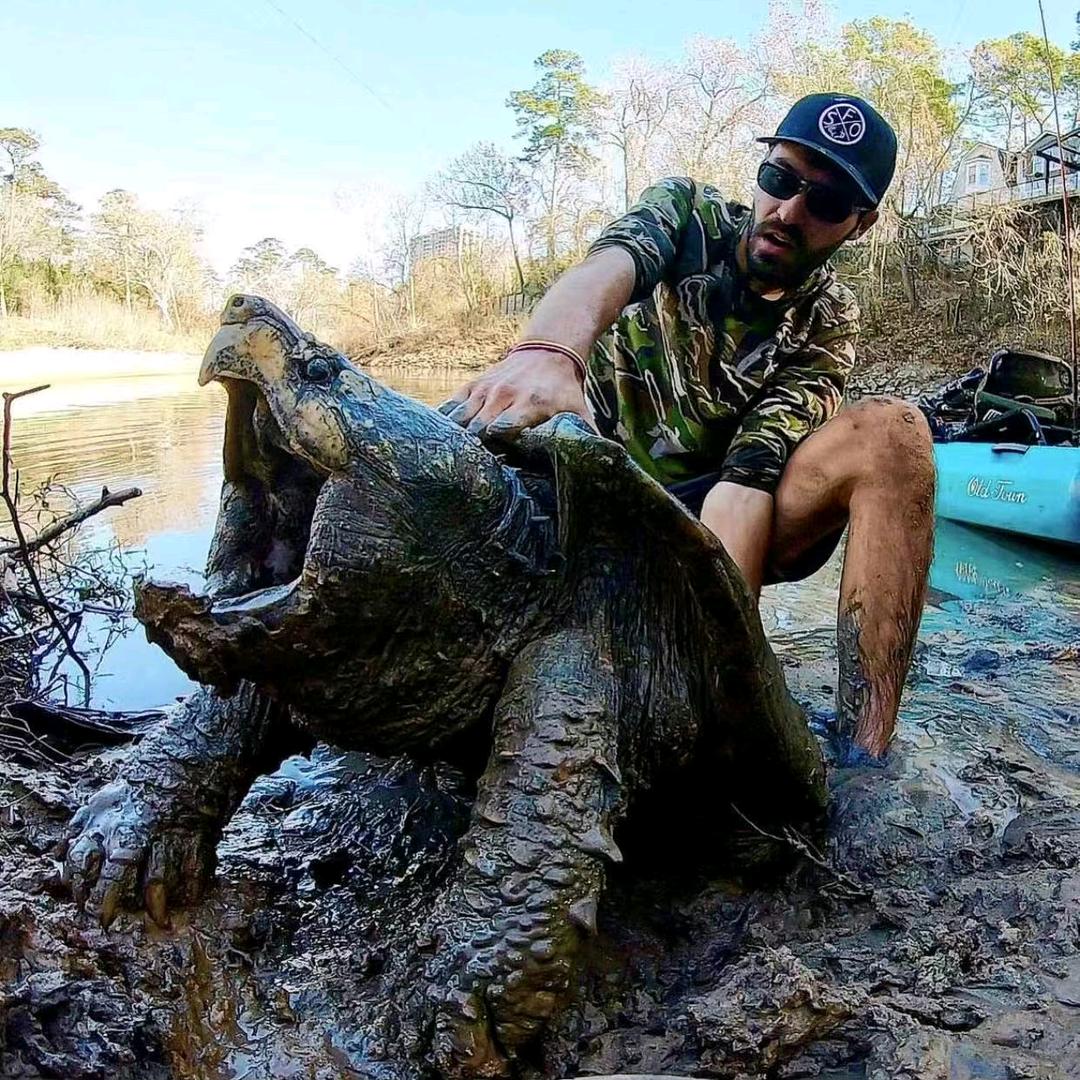 毒爱大鳄（豪龟族）
