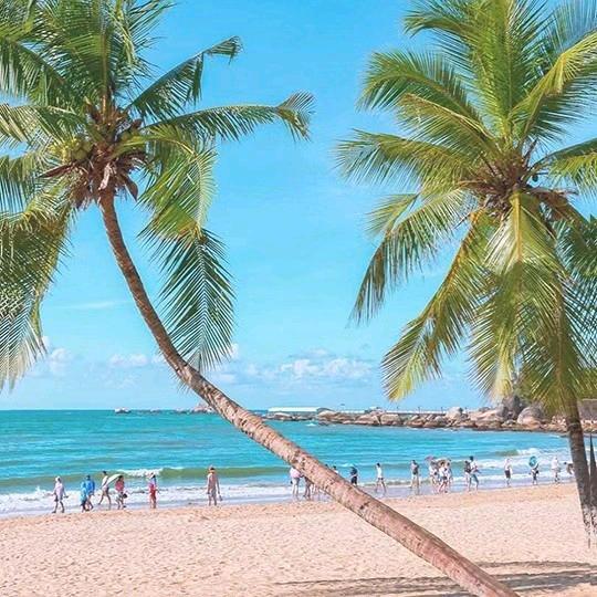 人生如梦年年好