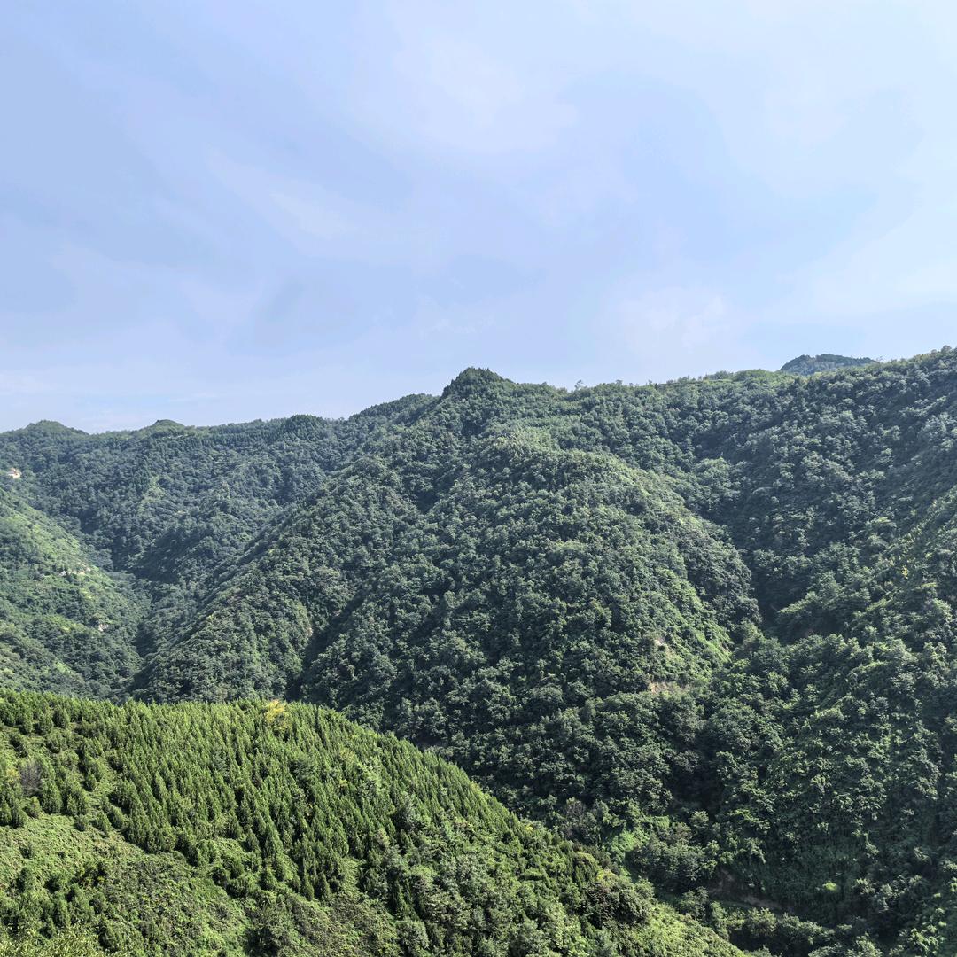 木易先生