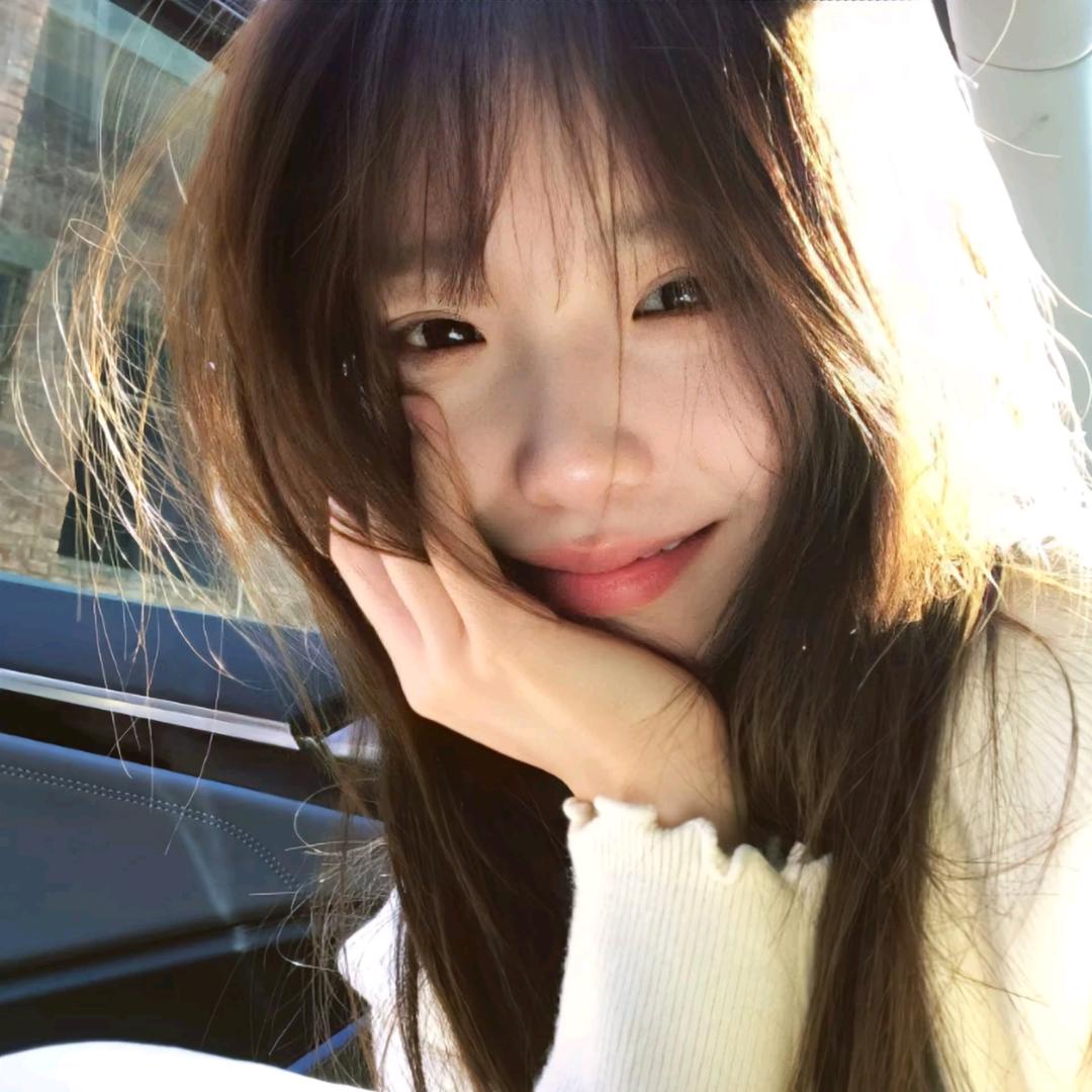 郁金香🌷