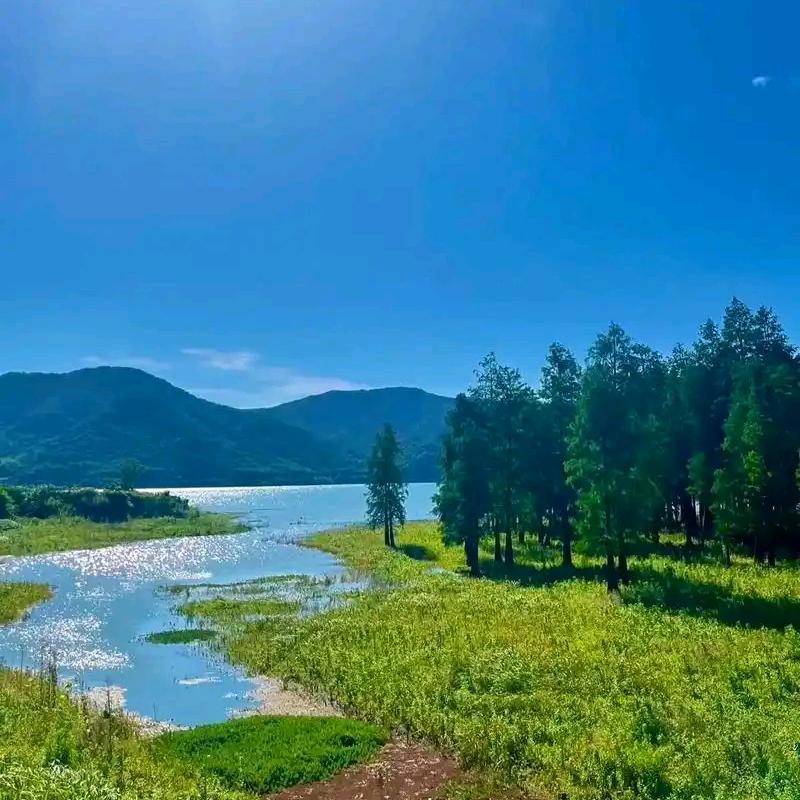 自已爱自己63年兔