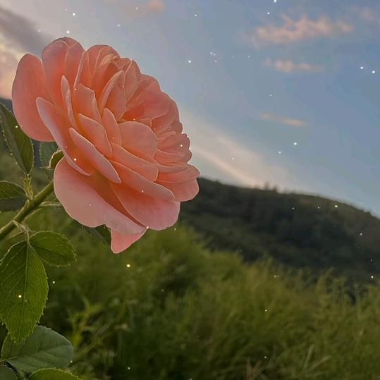 人不能失信