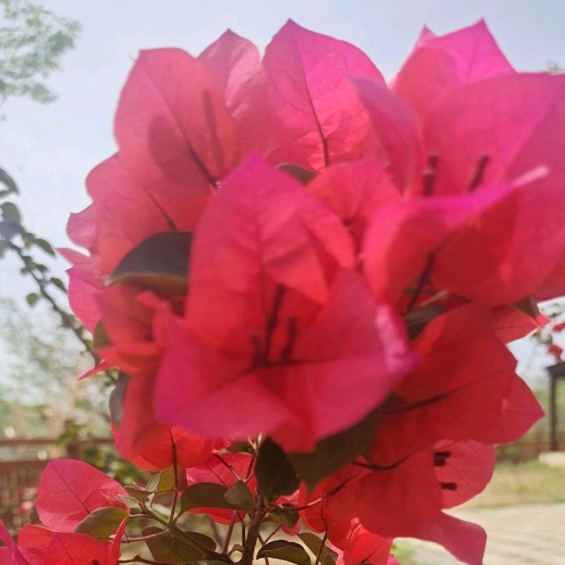 一生输赢全靠拼