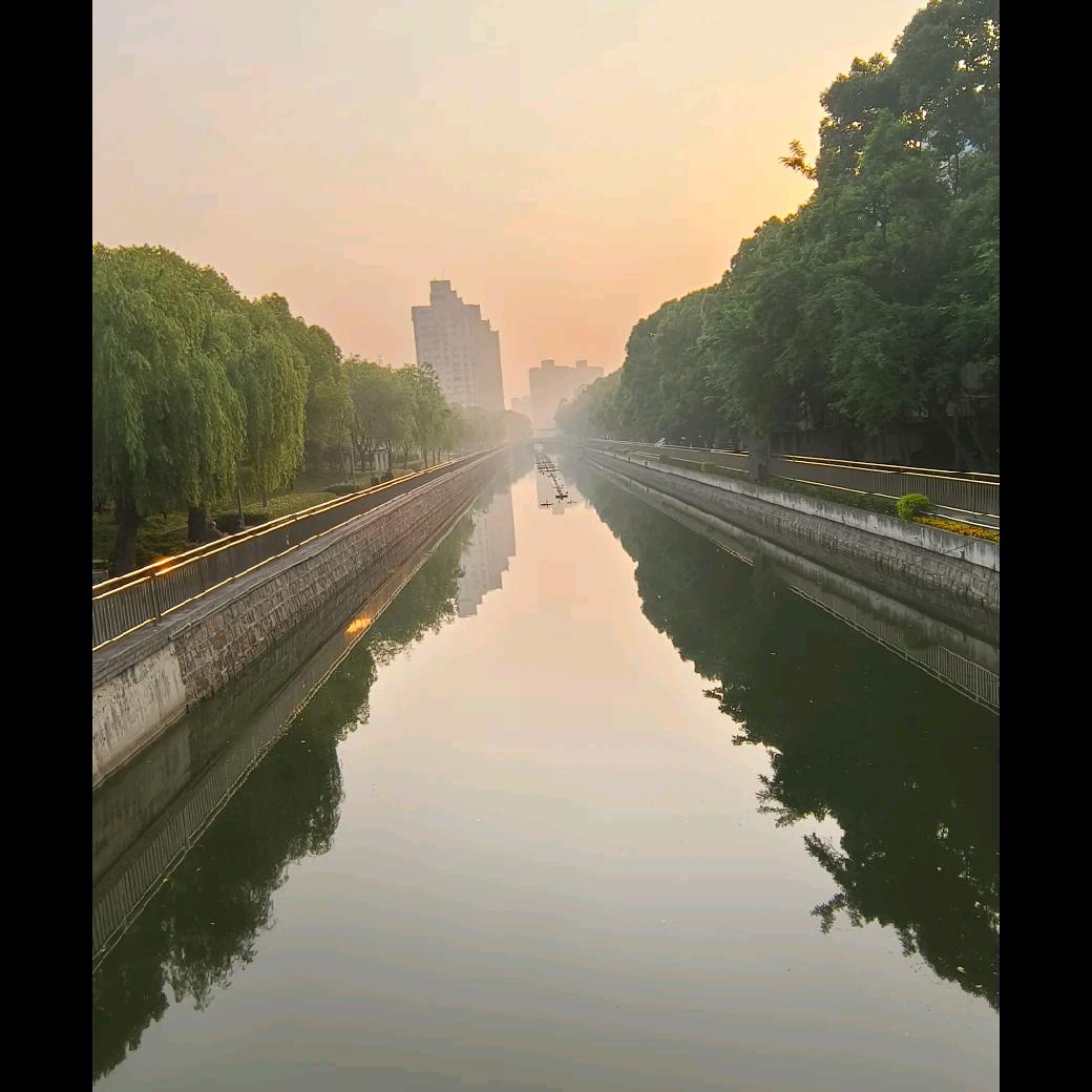 七秒记忆⏰