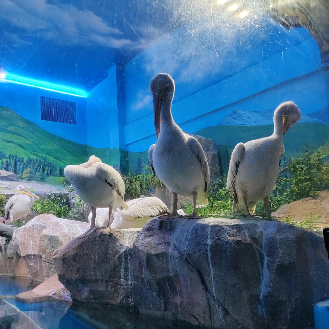 同城外卖小姐姐