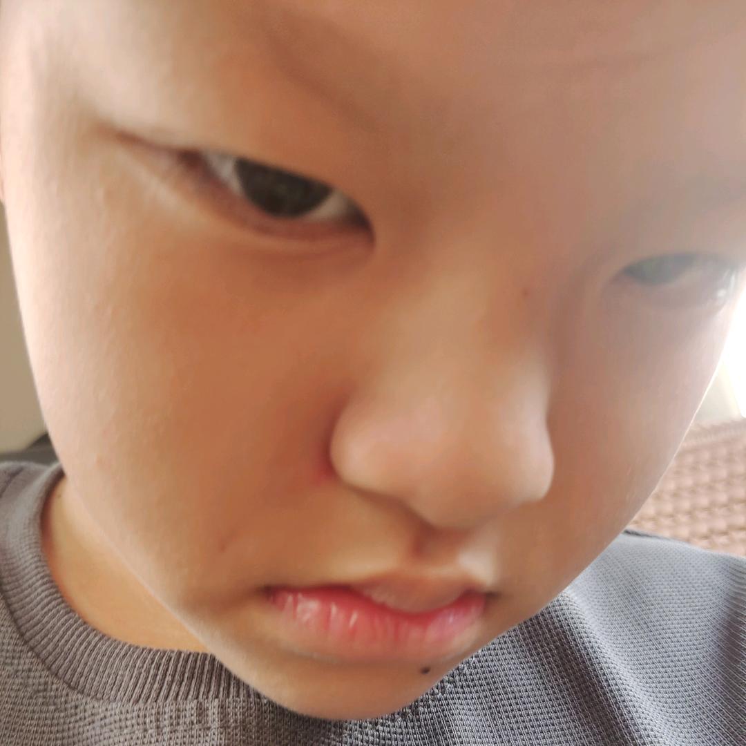 枫亭