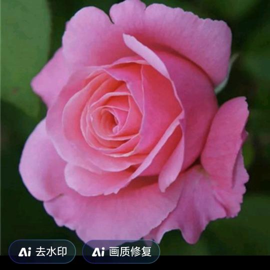 程月3（晚上9点10分开播）