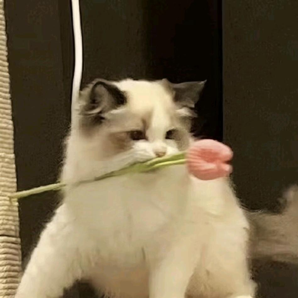 云飘走了