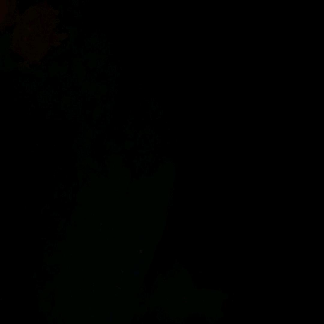 承