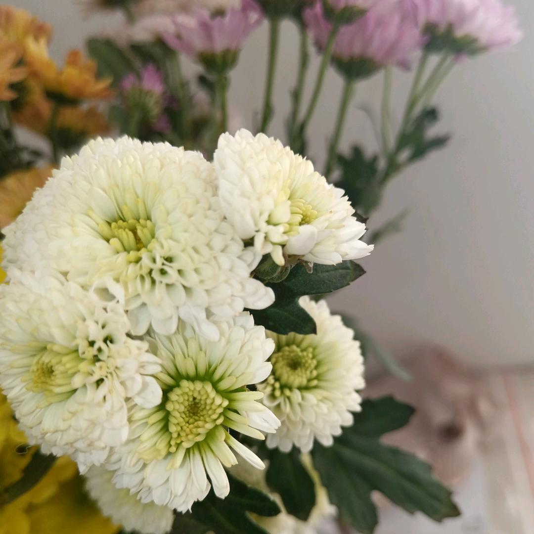 ꧁༺逍遥༒随风༻꧂